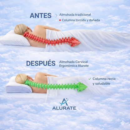ErgoCloud™ — La almohada que alinea tu cuello las 8 horas que el fisio no puede.